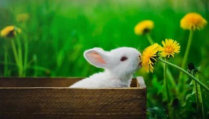 AYX GAMING-体育摄影大赛记录运动精彩瞬间，体育摄影作品简介