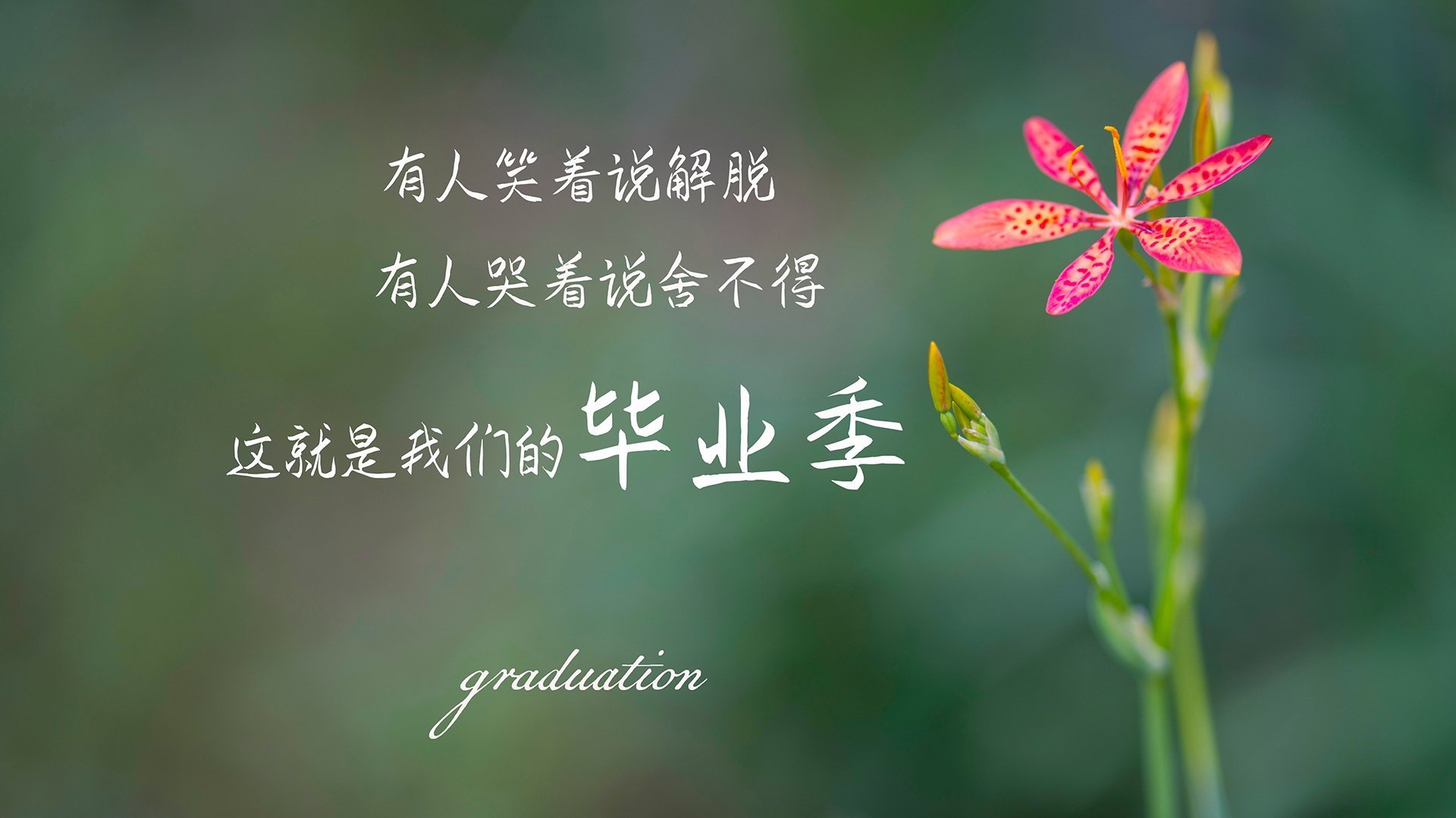 《王者荣耀全国春季赛，QG战队实力碾压获胜》，2020kpl春季赛qg战绩