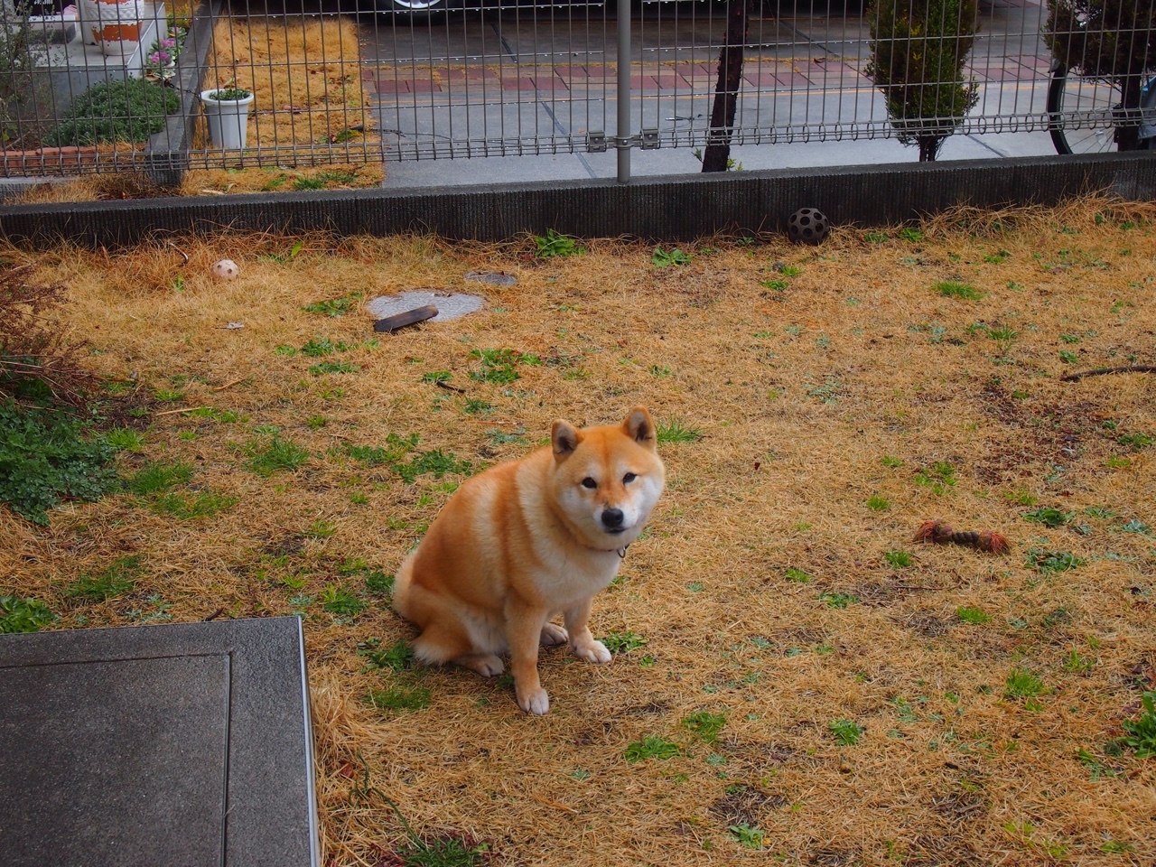 交易截止日收官，球队补强阵容分析，球队补强什么意思