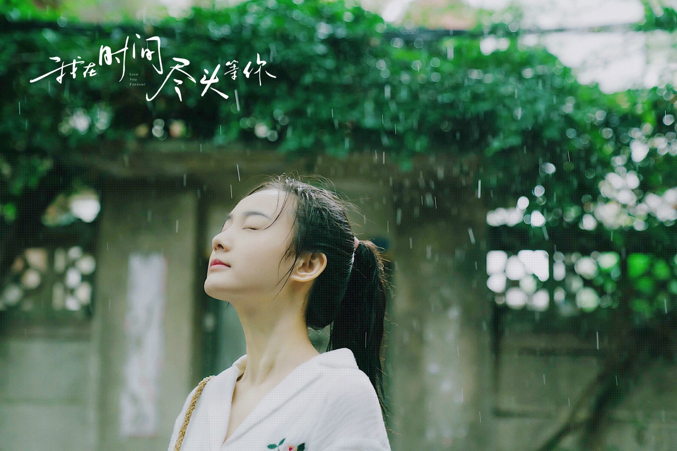 全球多元化:赛车运动的文化融合,赛车运动对促进汽车大众化的作用如何