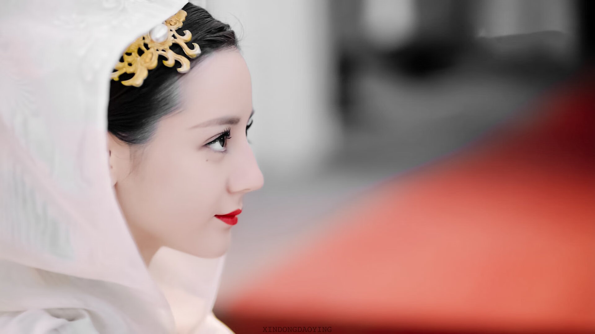 自由潜水表演，探索深海奥秘，自由潜水表演,探索深海奥秘