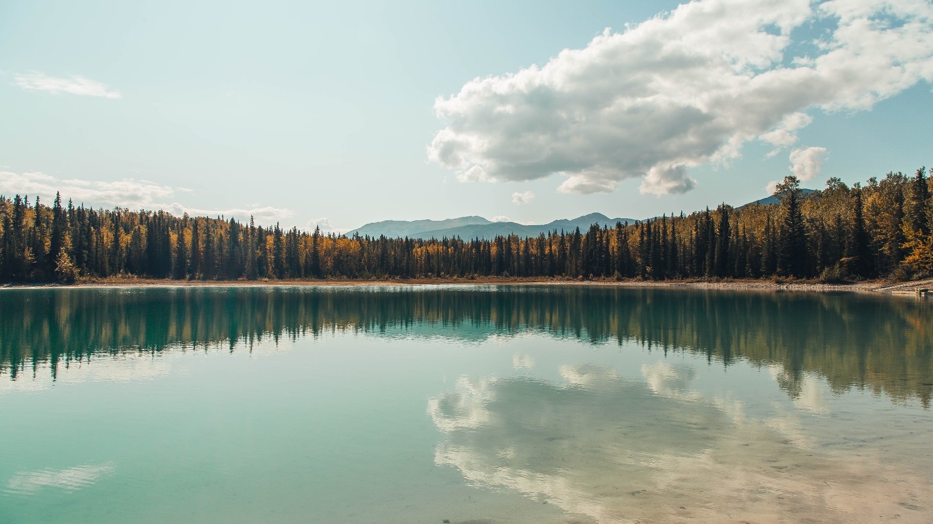 詹姆斯砍下50分带队逆转湖人夺得重要胜利!,詹姆斯伤停湖人胜率