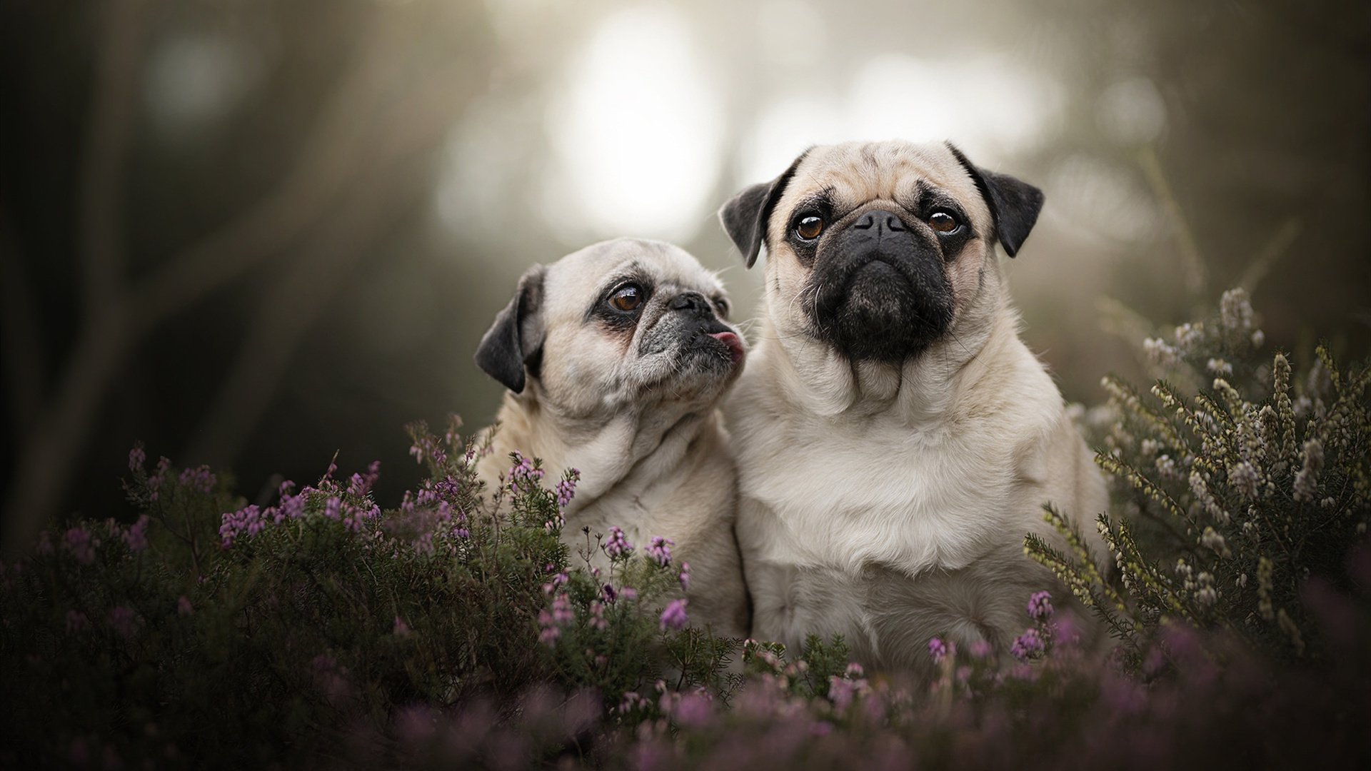 爱游戏-青少年篮球产业基金成立，持续投放行业发展血液，青少年篮球协会