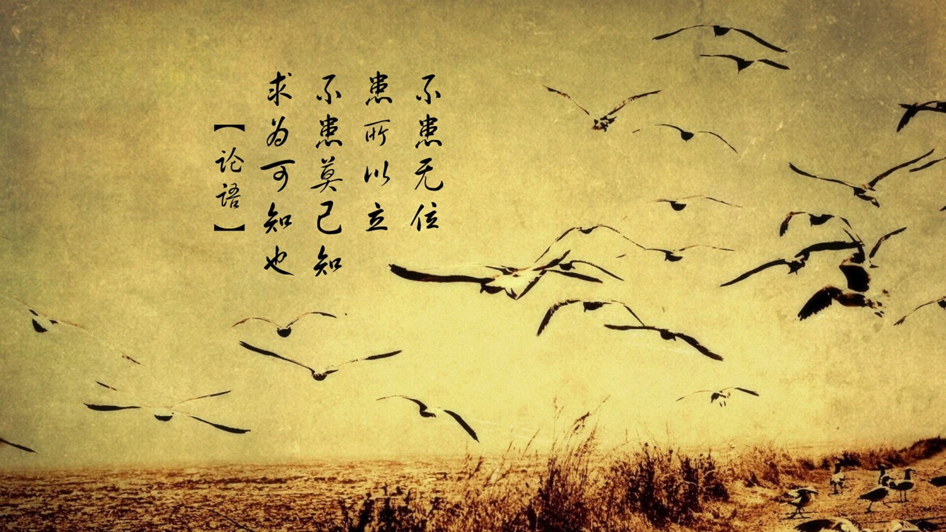 东契奇延续火热手感砍下三十五,东契奇有多强知乎