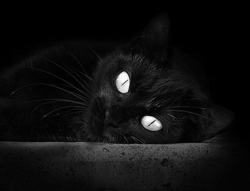 亚非篮球锦标赛震撼世界，赛场惊艳，亚非足球对抗赛