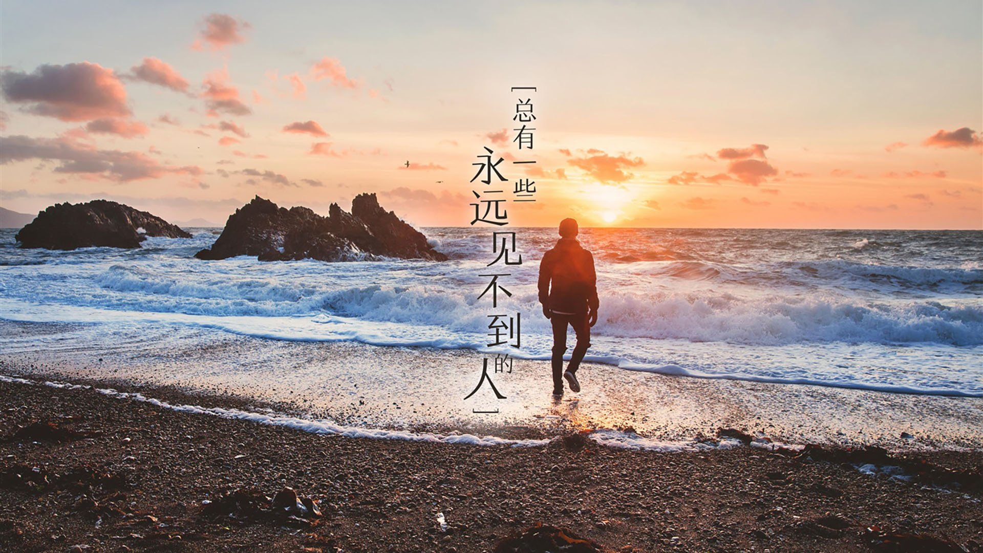 太阳队客场失利,湖人队主场全力击败对手,湖人队太阳谁赢