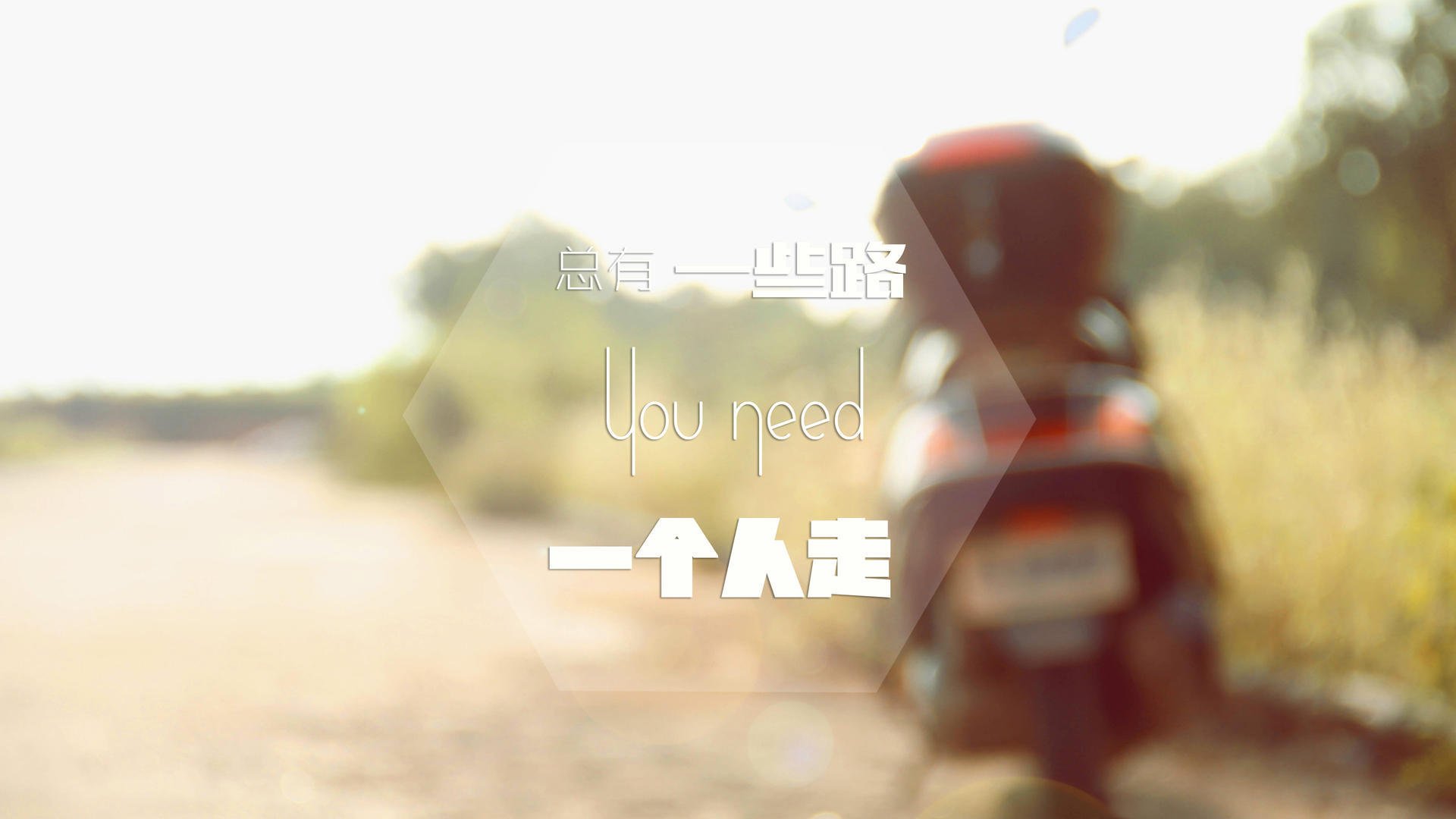 王牌队替补阵容贡献突出,王牌队伍