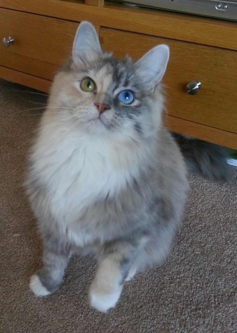 爱游戏-德甲新战术引领潮流，精彩片段层出不穷，德甲新赛季实力分析