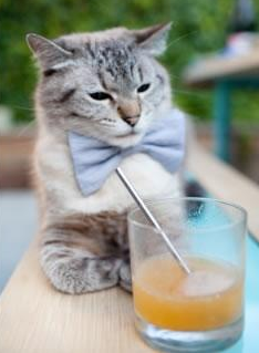 爱游戏-本周比赛精彩瞬间：炫技、奇迹、意外不断