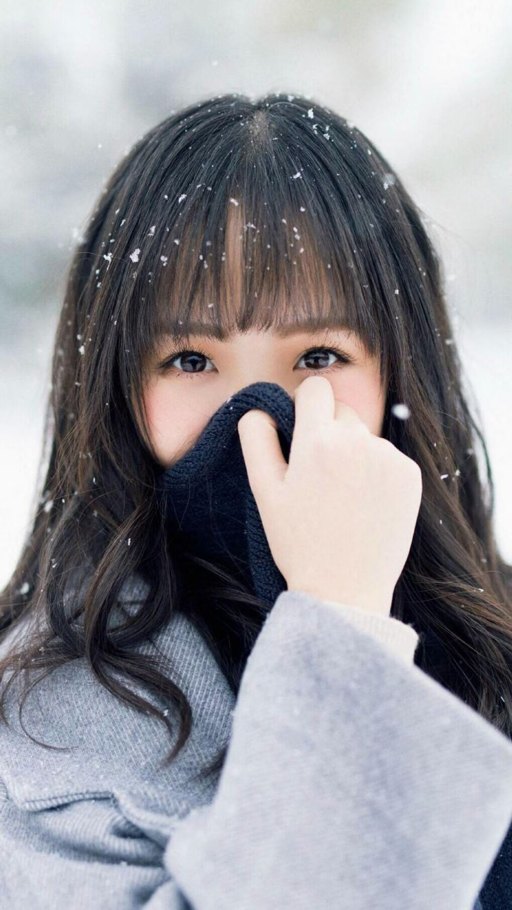 泰国马术协会建立马匹基因数据库,促进马匹选育与训练。,泰国马术俱乐部