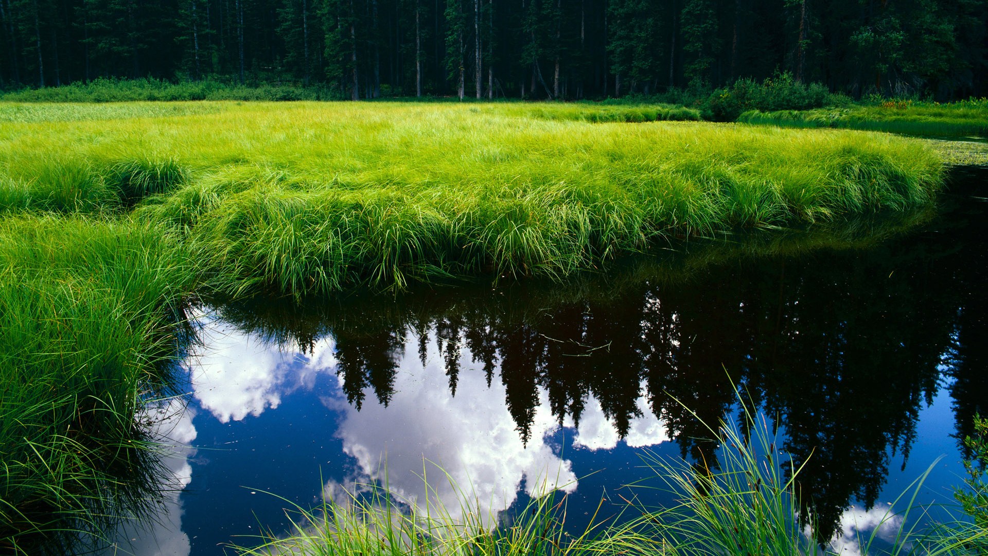 爱游戏下载-绝地求生 赛事组织规范化提升，绝地求生参赛队伍