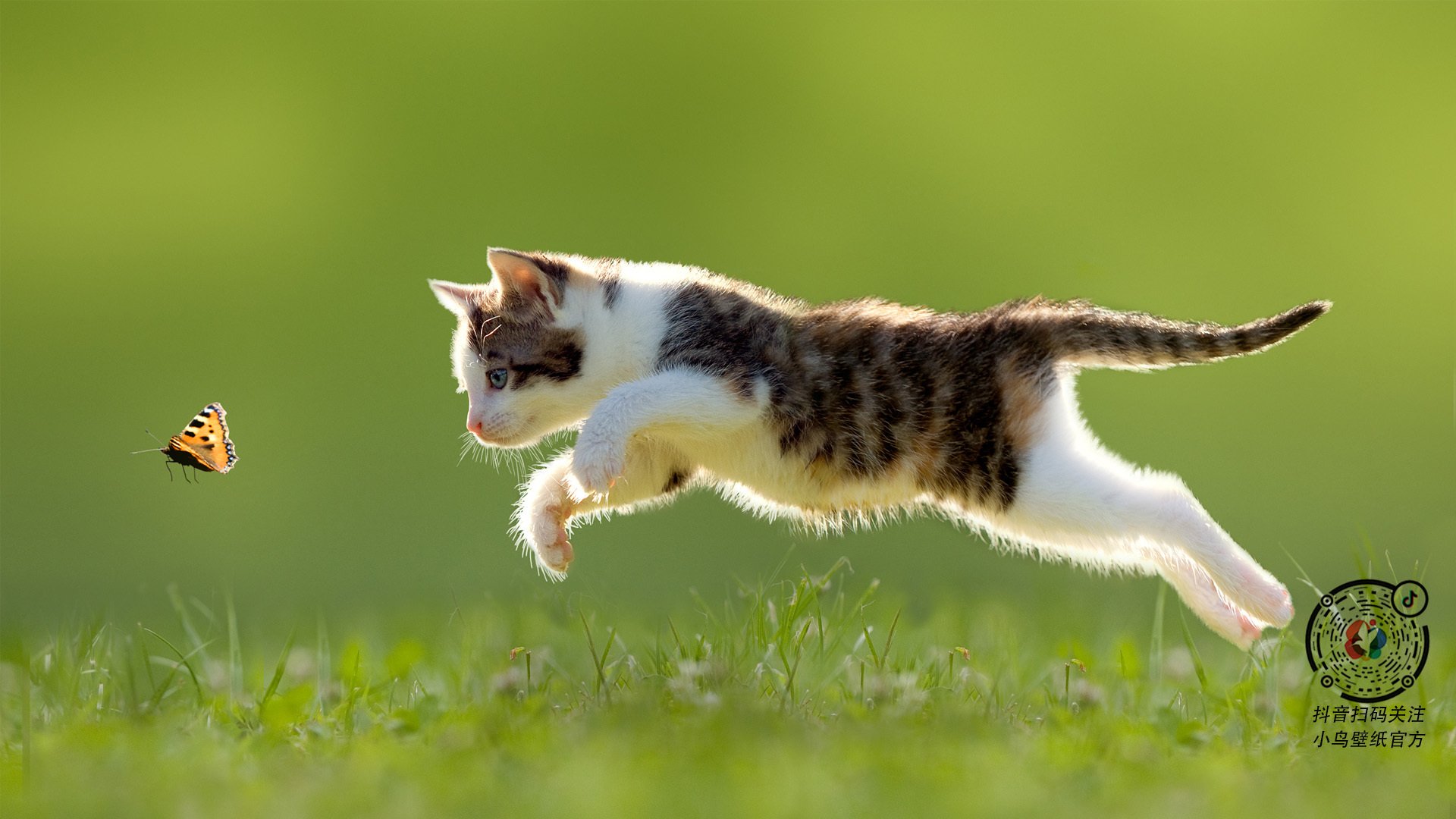 校园体育活动对学生身心发展的促进作用,体育活动对学校的影响