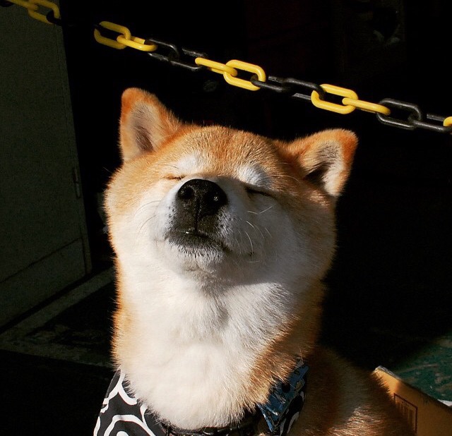 英超球队采用动态防守策略对抗对手高压进攻效果评估,英超当下最流行的战术打法, 或将引领世界足球潮流!