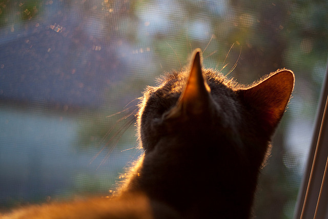 爱游戏官网-足球中场控制力数据纳入比赛战术评分，足球比赛中场是什么意思