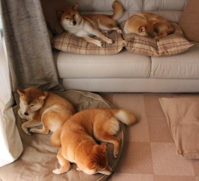 EDG关键比赛连胜不断,edg比赛现场