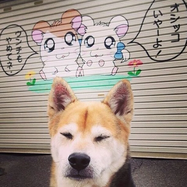 主帅否认更衣室不和传闻,主帅阵亡