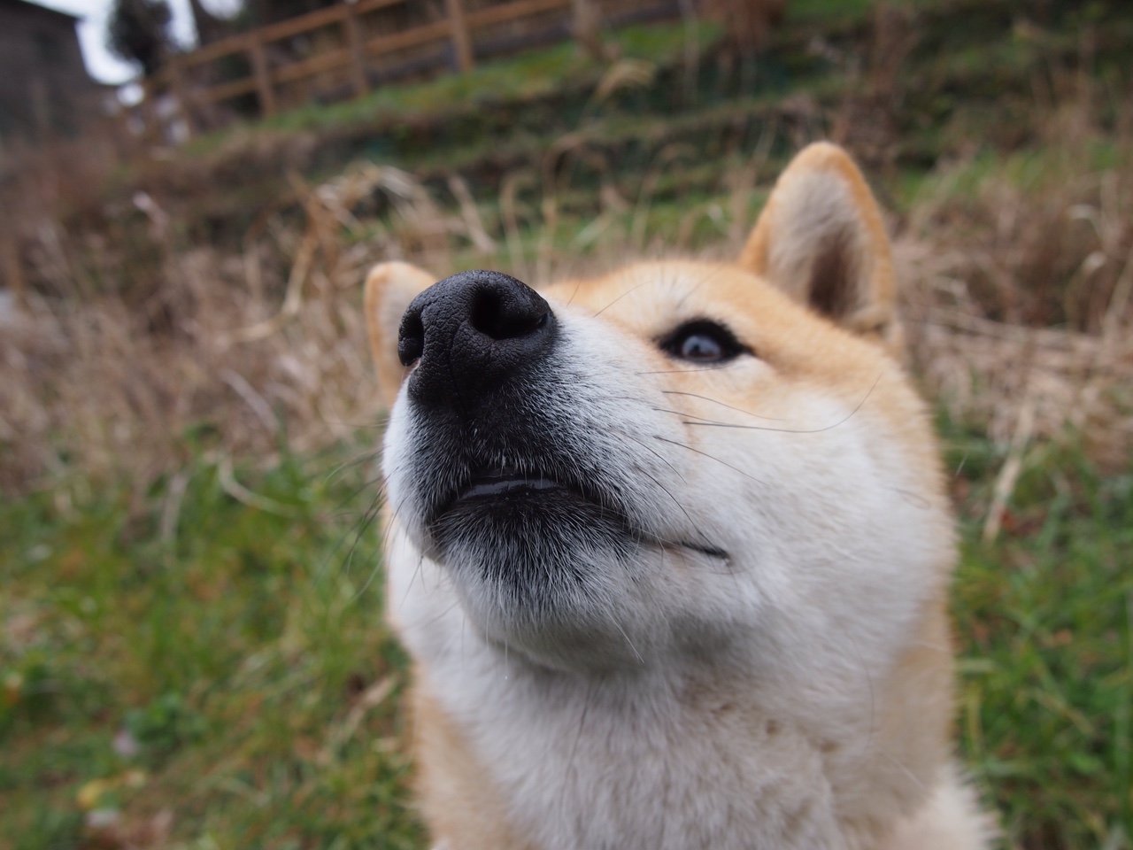 亚冠联赛中国青年队爆冷 球迷呼吁加强组织纪律,亚青会中国队