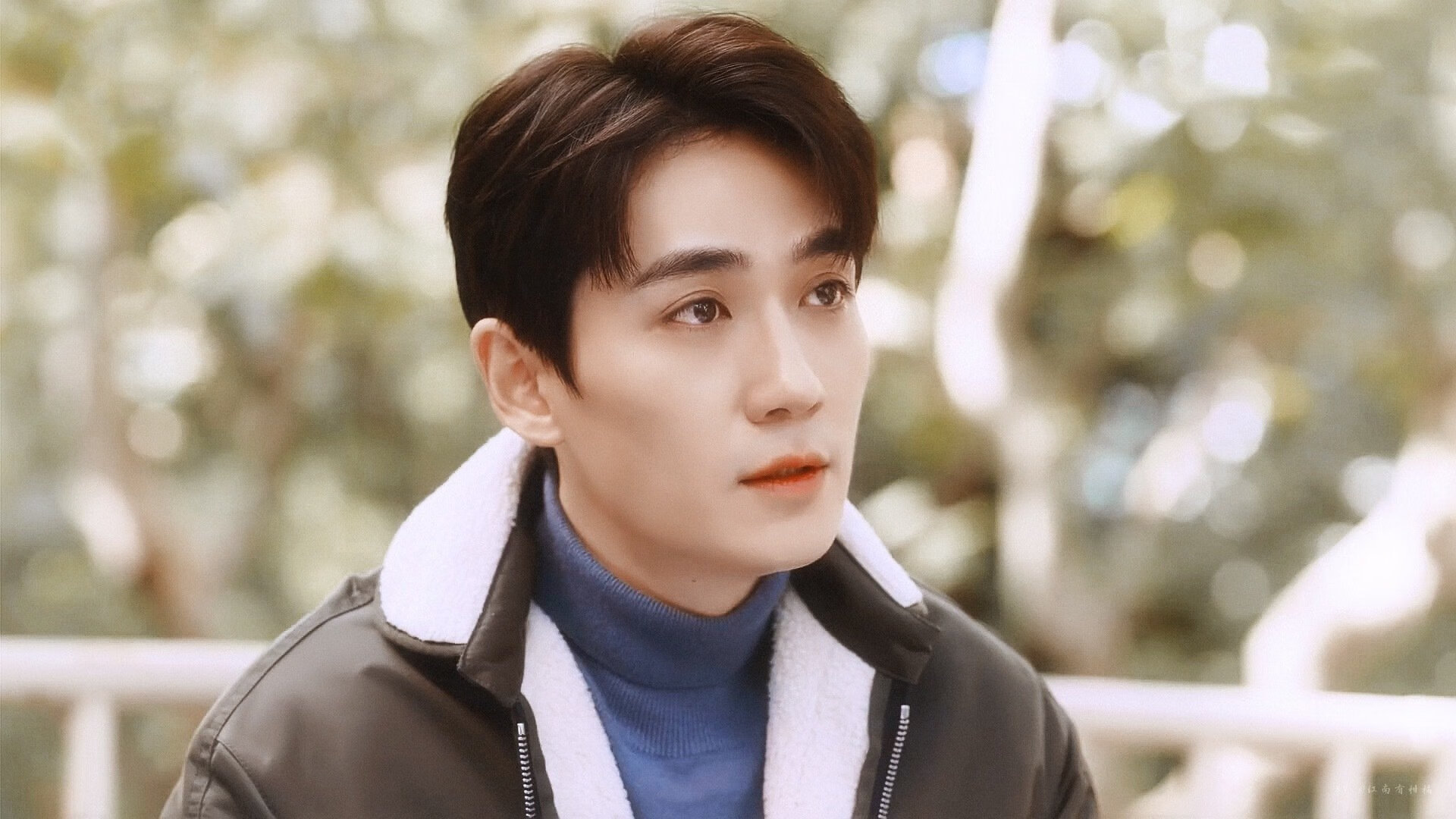 冲刺段划水频率变化规律,划水次数的名词解释