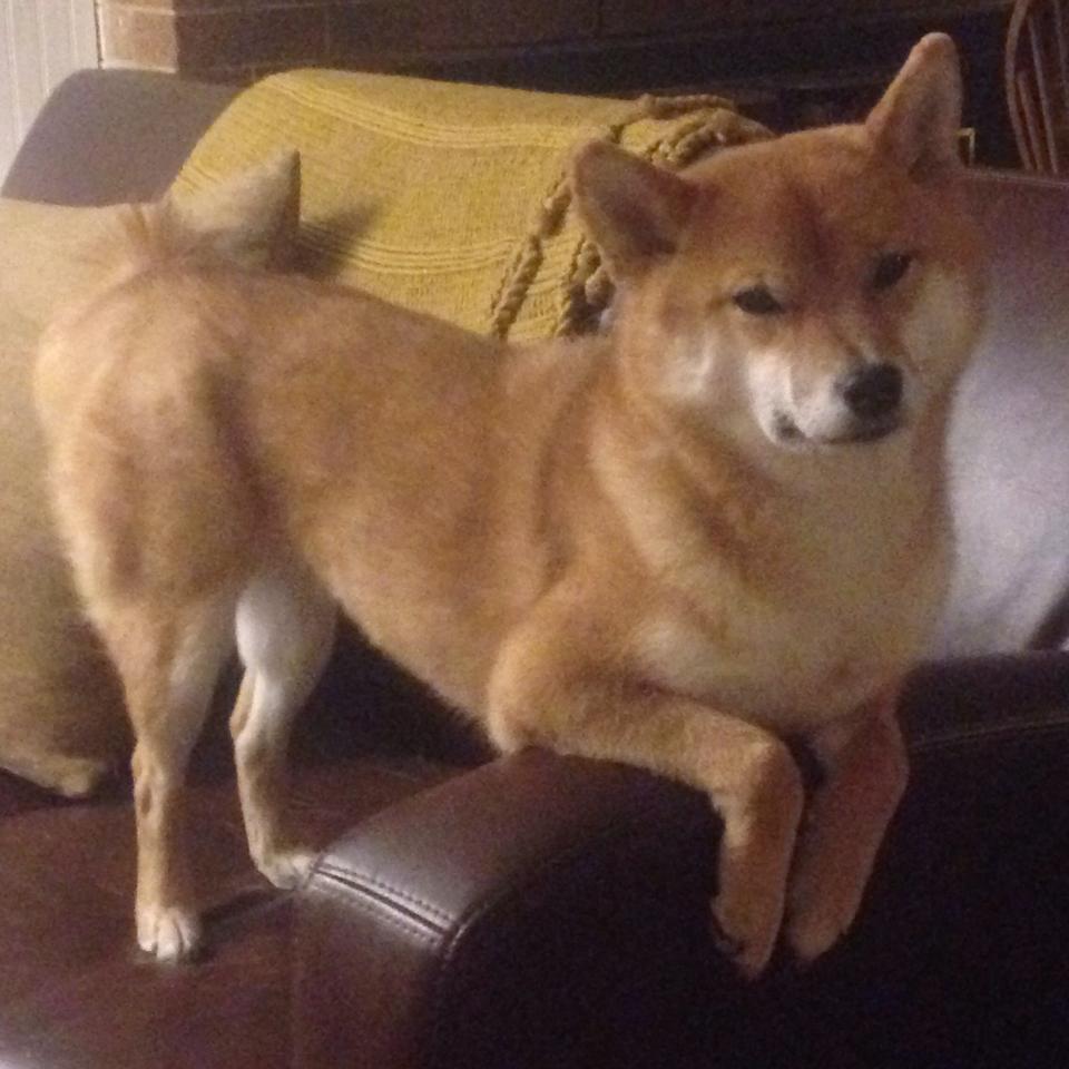 吉达联合稳居联赛前三，吉达塔最新进度2021