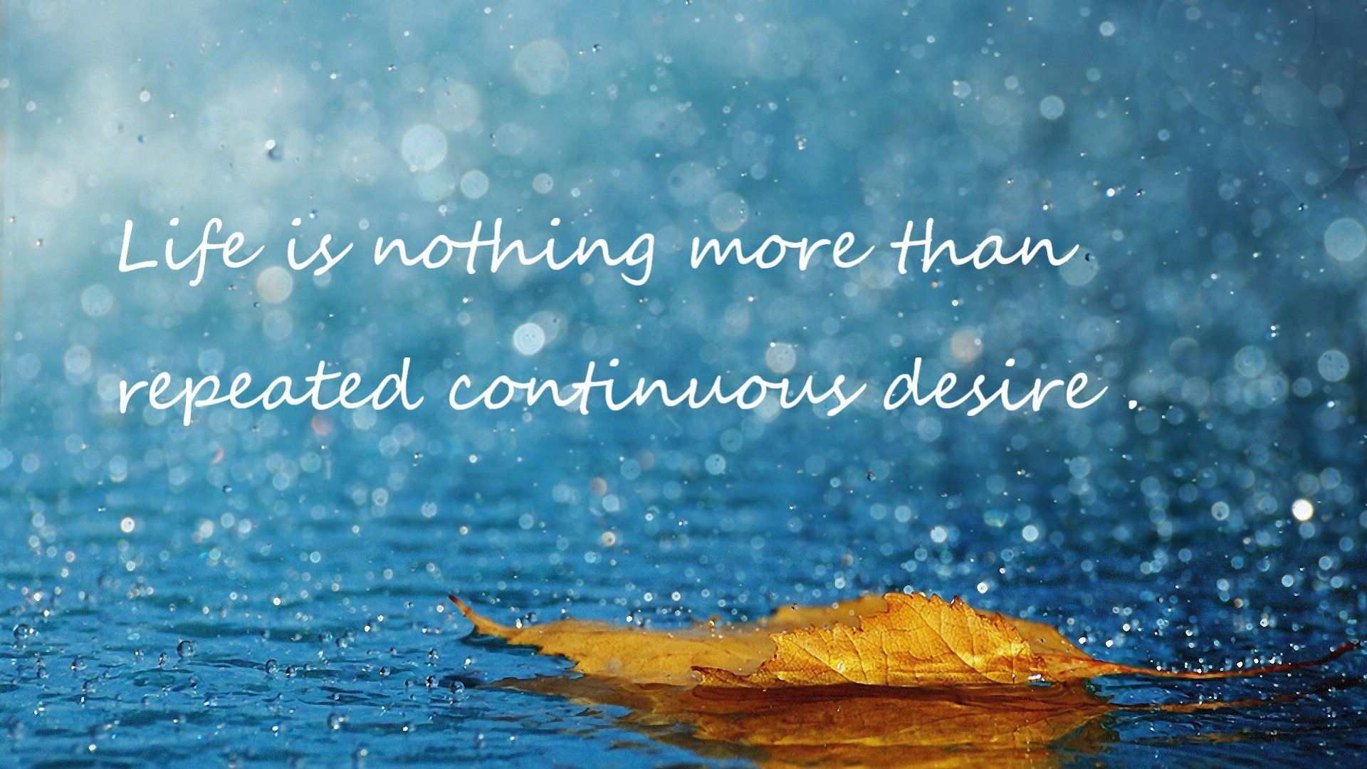 厦门蓝狮队在比赛中陷入困境，寻求突破，厦门蓝狮进球集锦