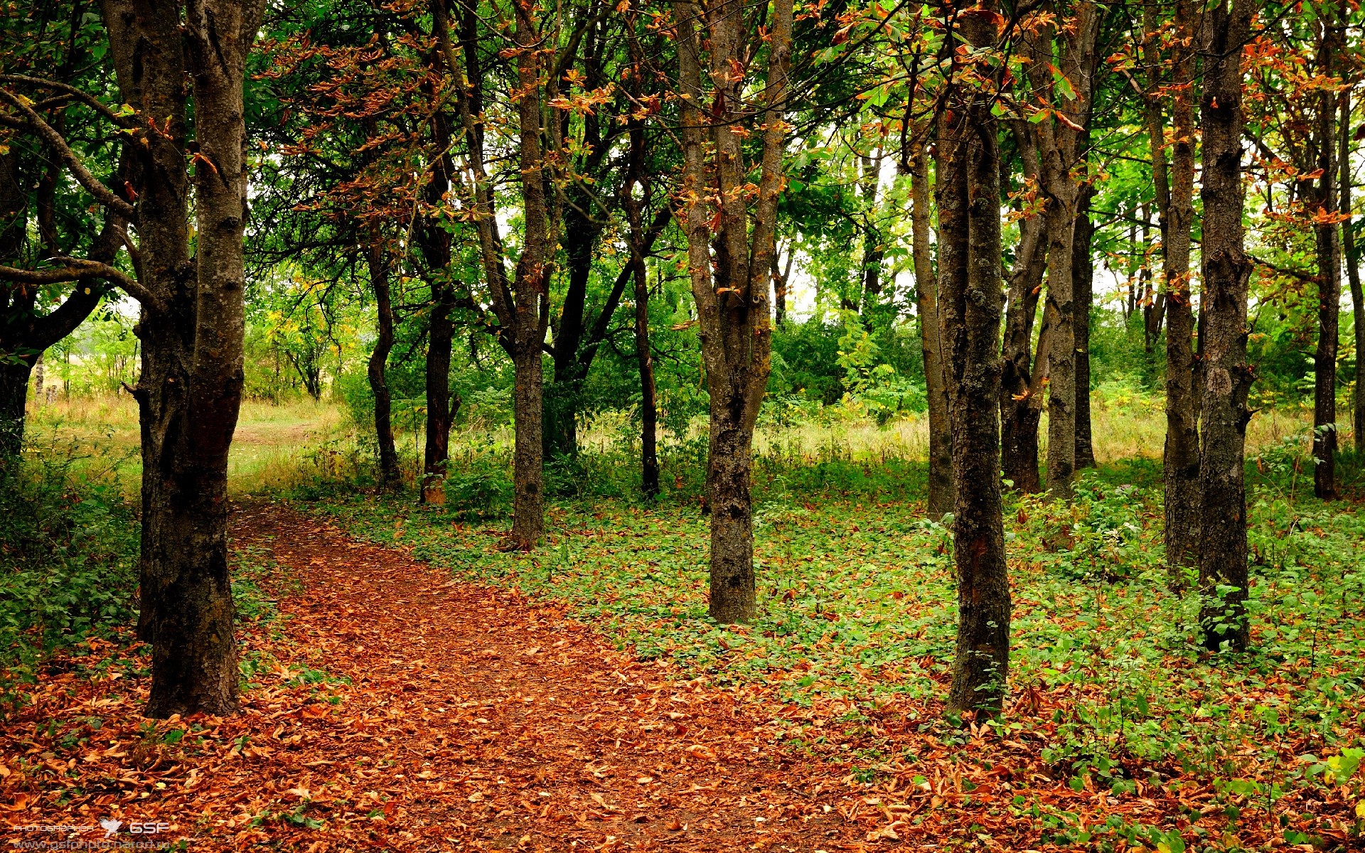 曼城客场逆袭击败切尔西,豪取三分,曼城1-2遭切尔西逆转,这场比赛为何这么牵动球迷的心_