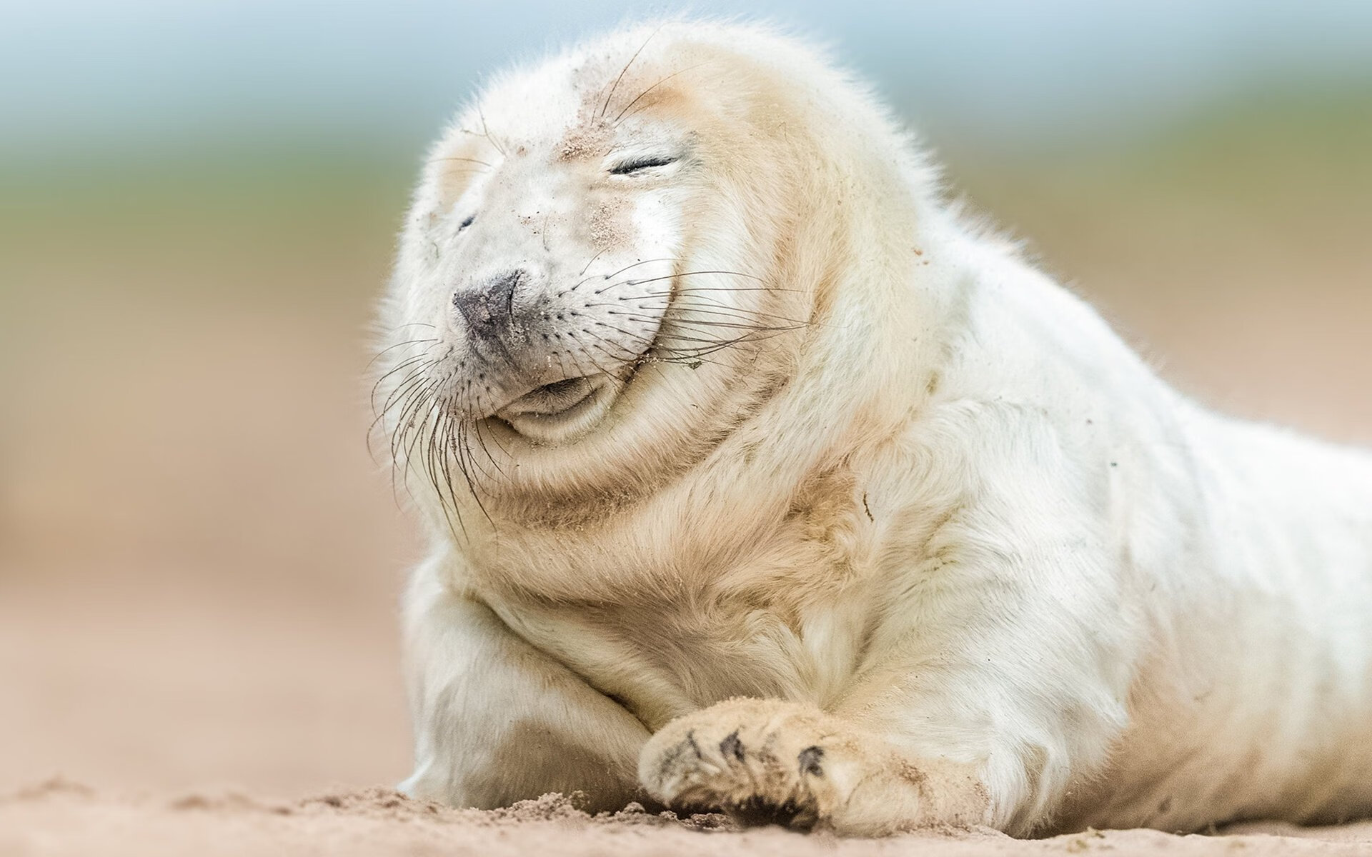 史密斯决赛细节体现多年磨砺，史密斯jr集锦