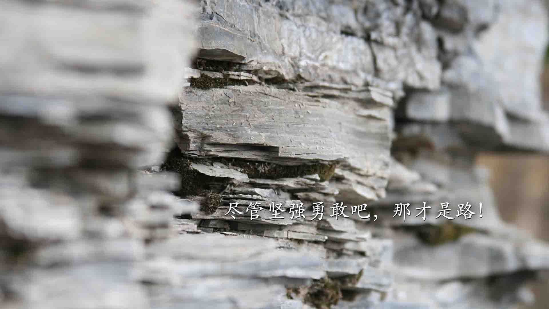 俱乐部历史回顾:那些辉煌的黄金时代,俱乐部的诞生