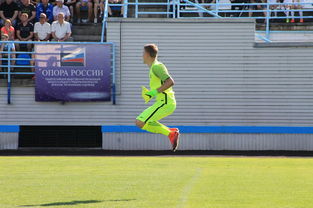 爱游戏官方-校园体育场馆智能维护与节能技术应用，校园体育场馆智能维护与节能技术应用实践报告