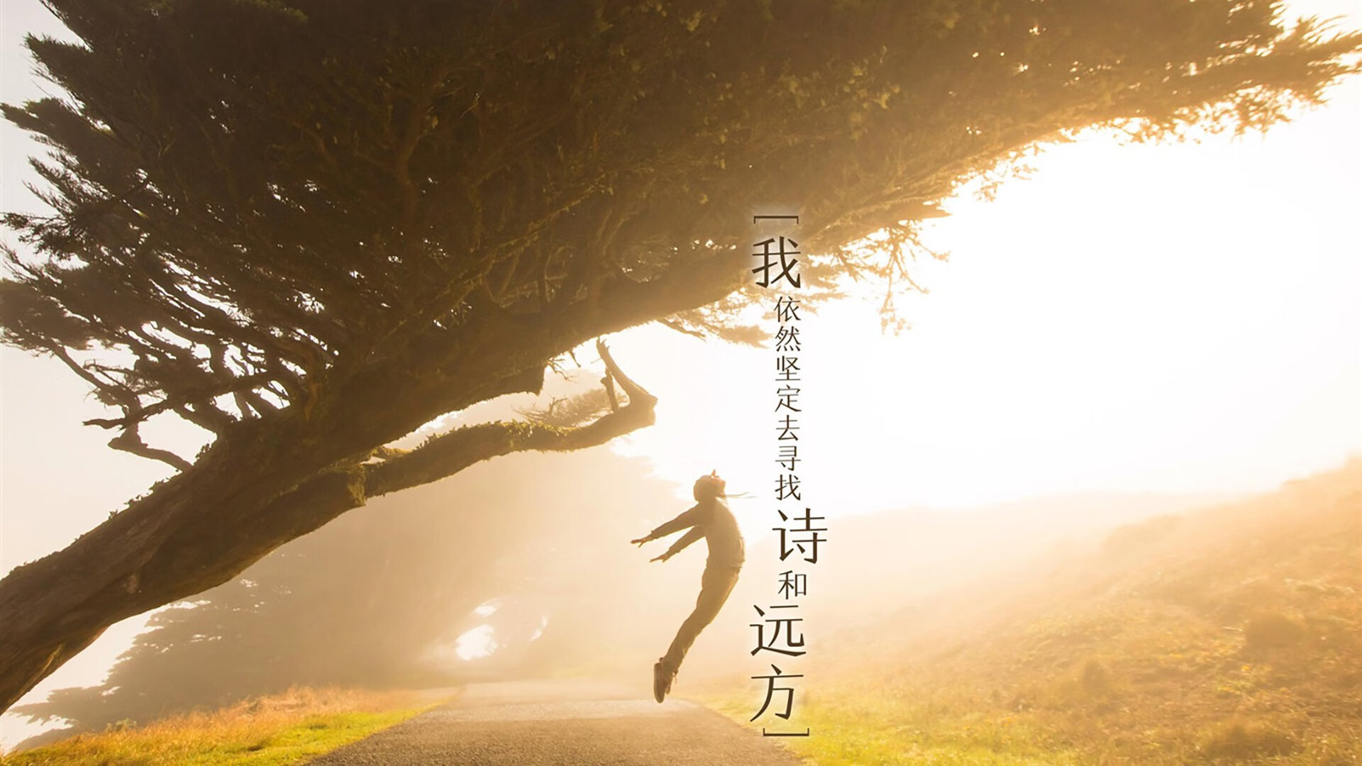 篮球专项技能训练方法与教学改革，篮球基本技能训练