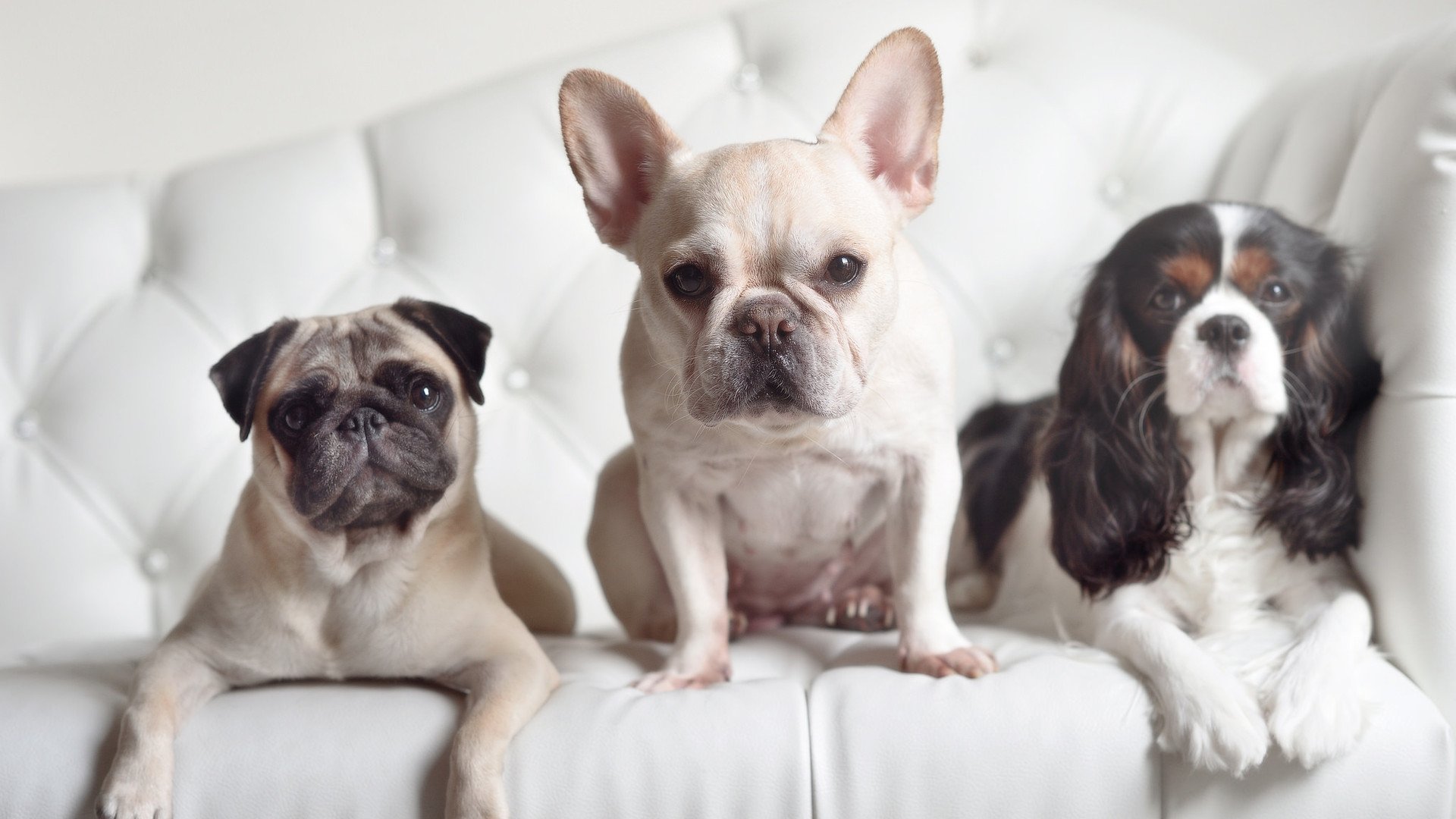 马克西姆·格鲁塞刷新个人100米蝶泳最佳