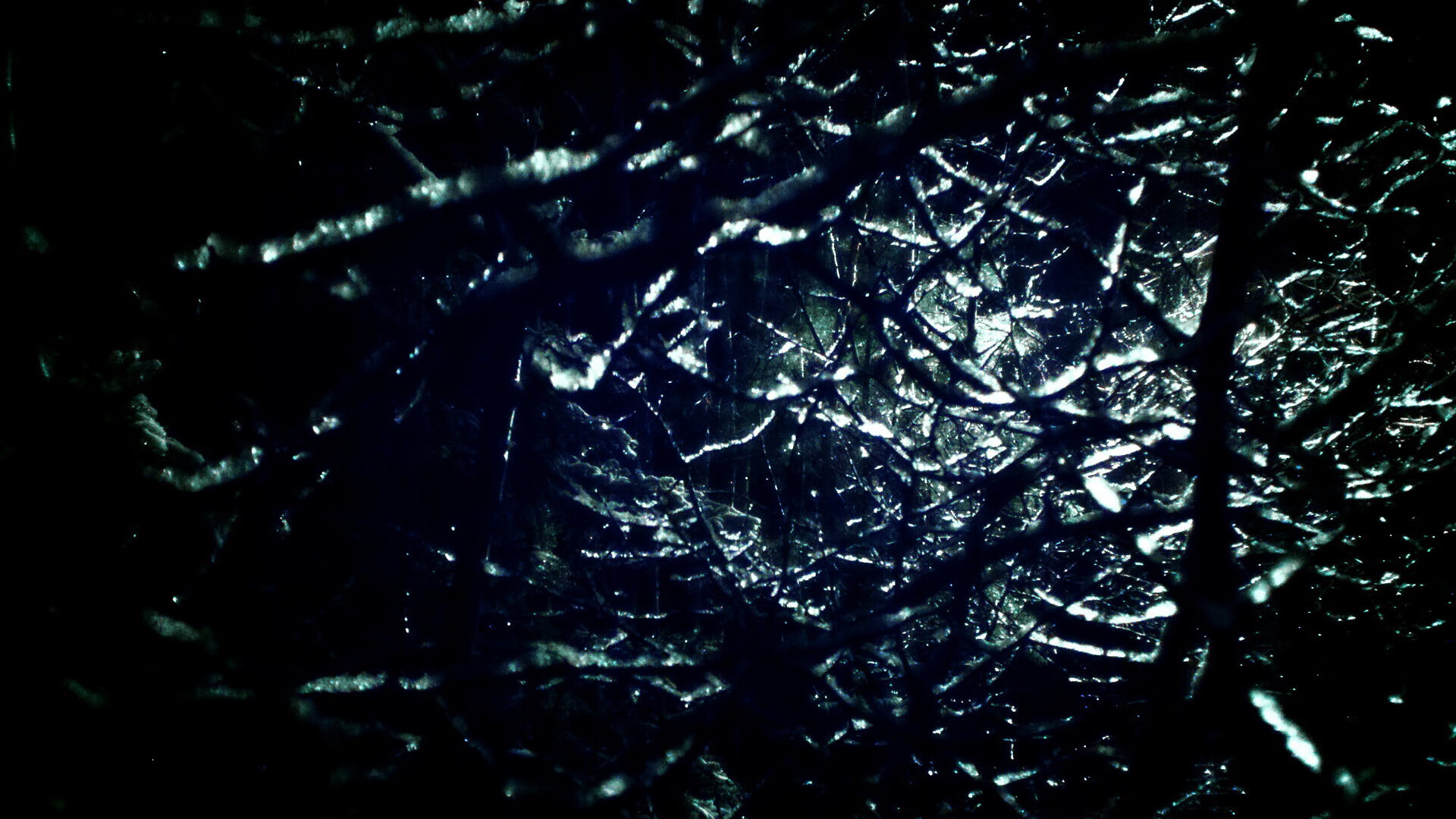 “牛仔3K亲子跑:让家庭在香港赛道上共奔跑”