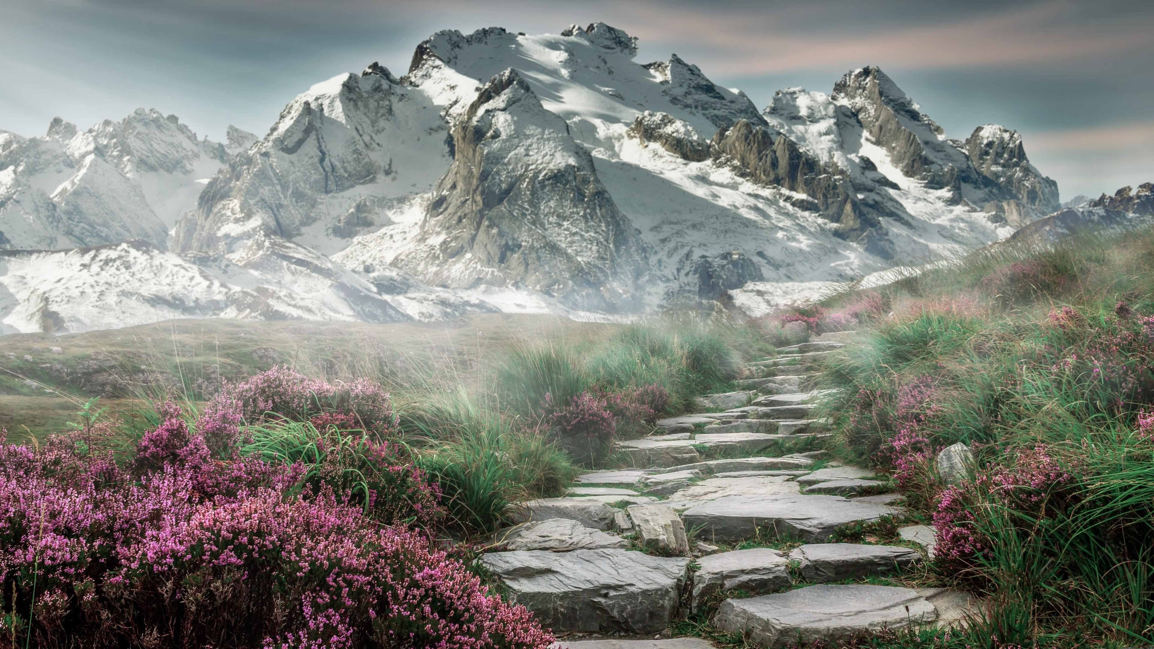 中国男篮战术多样性进一步提升,中国男篮战术分析