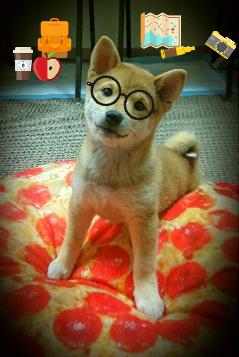 全国青少年足球超级联赛战况激烈,全国青少年少年足球联赛